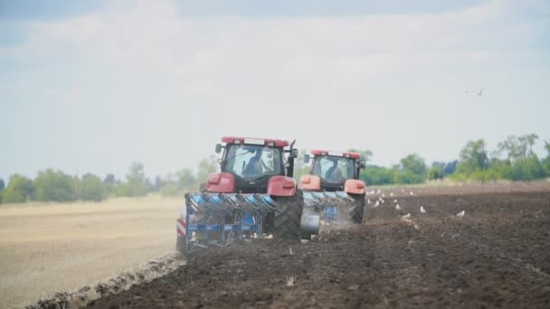 Két traktor eke a földre — Stock videók