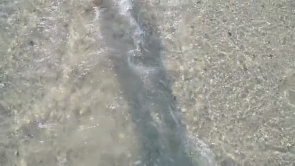 Weibliche Füße Wandern am Wasser — Stockvideo