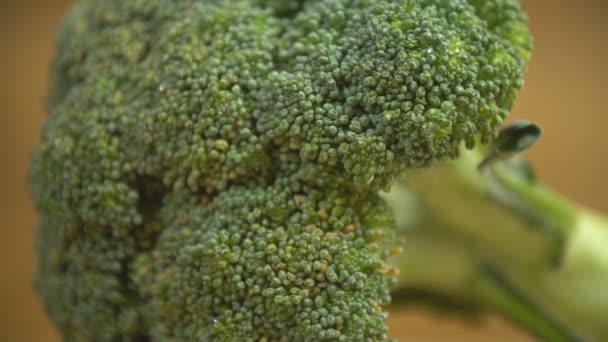Brócoli en una bandeja de madera — Vídeo de stock