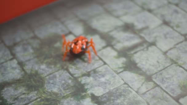 Plastik robot örümcek — Stok video