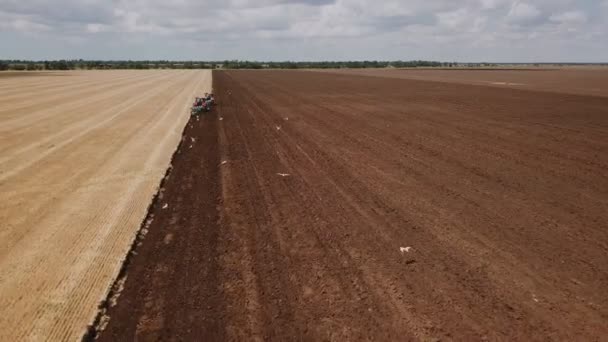 Červený traktor se pzáří na zemi — Stock video