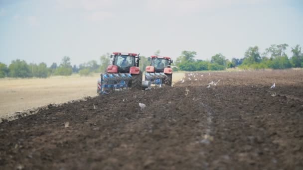 Two tractors plow the ground — Stock Video