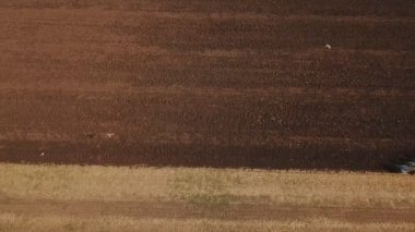 kırmızı traktör zemin pulluklar