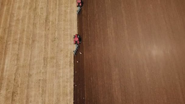 Tractor rojo arada un campo — Vídeo de stock