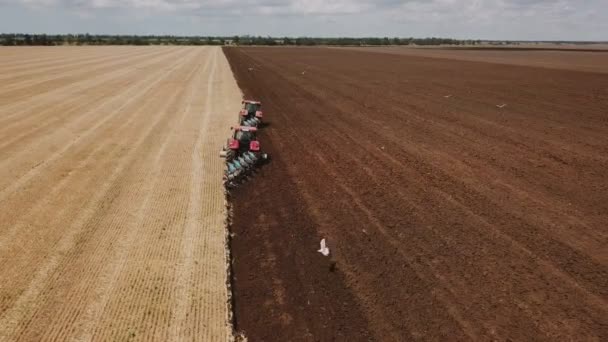 Röd traktor plogar ett fält — Stockvideo