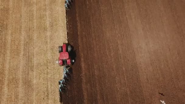 Tractor rojo arada un campo — Vídeo de stock