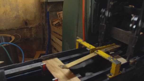 Fornecimento de placas de madeira na produção de caixas — Vídeo de Stock