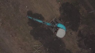 kazıcı ağaç kökleri kazar