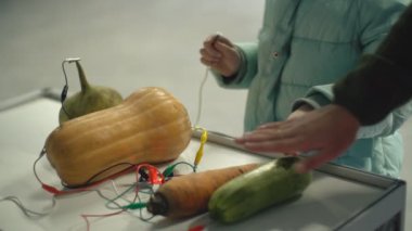 Elektrik iletimi için iyi bir örnek