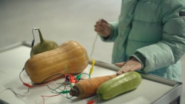 Elektrik iletimi için iyi bir örnek