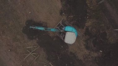 Küçük kazıcı ağaç kökleri kazar