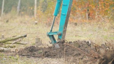 kazıcı ağaç kökleri kazar