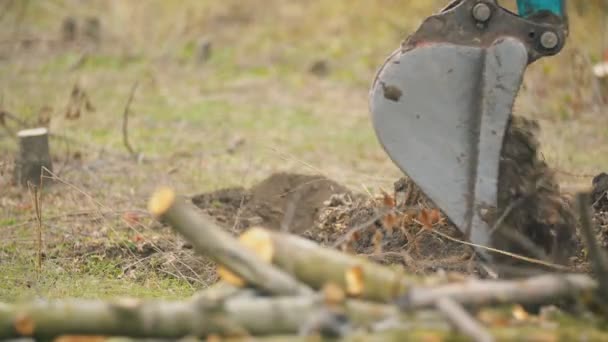 Bagger gräbt Baumwurzeln aus — Stockvideo