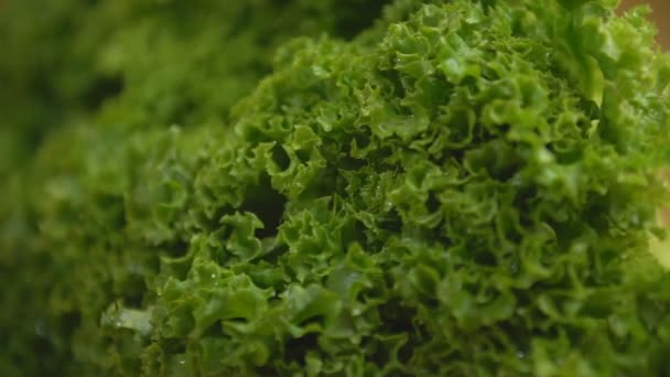 Salatgemüse auf einem Holztablett — Stockvideo