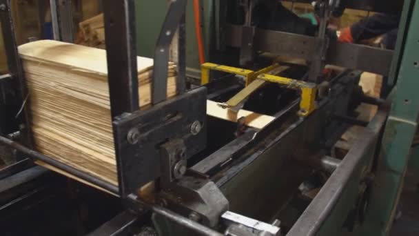 Alimentation automatique des planches en bois — Video