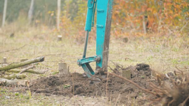 Excavatrice creuse les racines des arbres — Video