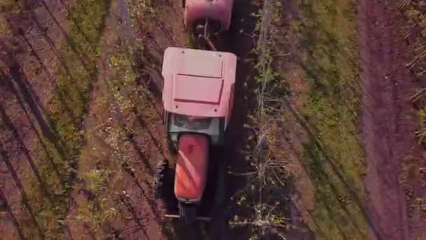 Traktor besprutning blommande äppelträd — Stockvideo