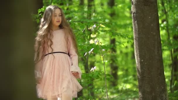 Ragazza cammina nel bosco — Video Stock