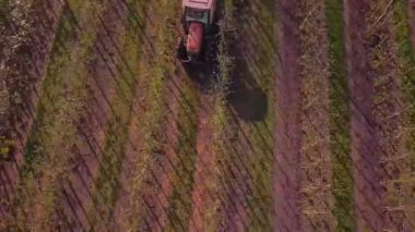 Traktör püskürtüyor çiçek açan elma ağaçları