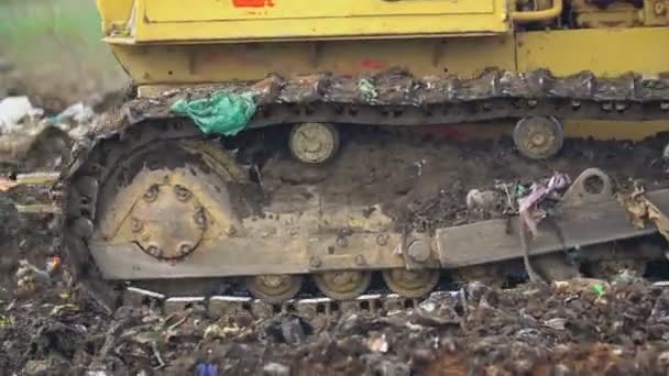 Bulldozer-Raupe auf Deponie — Stockvideo