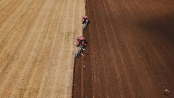 Två traktorer plöja fältet — Stockvideo