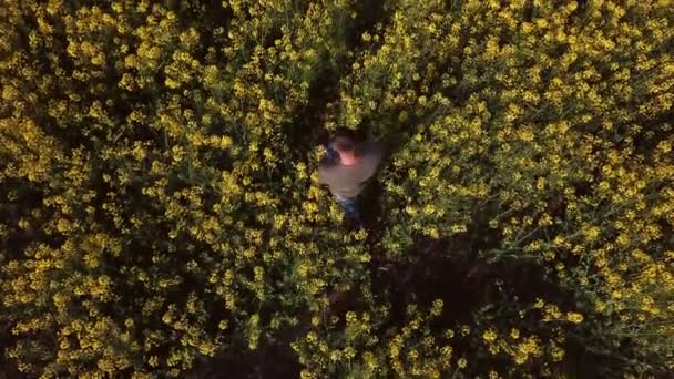 Campo de paraná com flores de canola — Vídeo de Stock