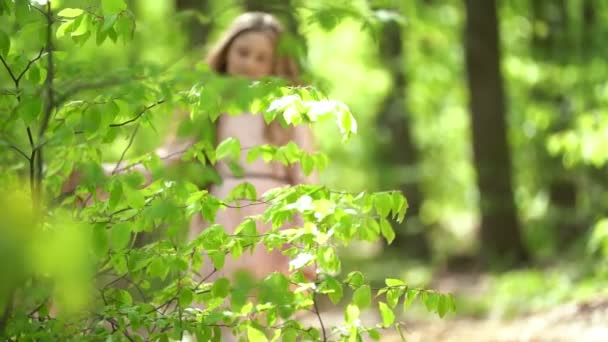 Девушка гуляет по лесу — стоковое видео