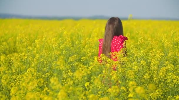 Flicka går över fältet med raps blommor — Stockvideo