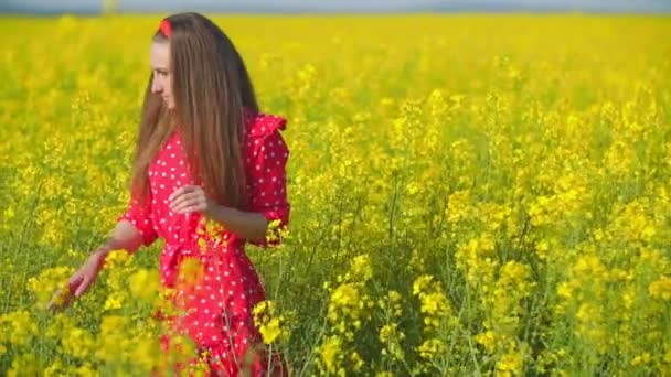 Fille marche à travers le champ avec des fleurs de canola — Video