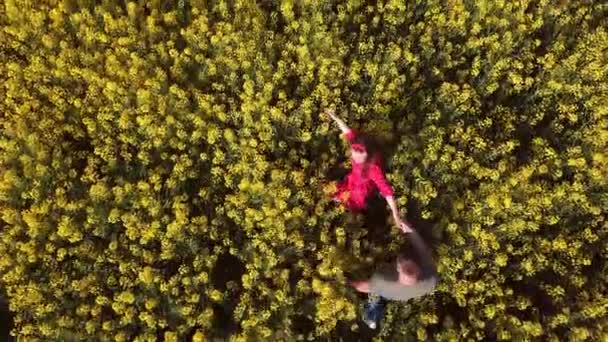 Paranafält med rapsolja blommor — Stockvideo