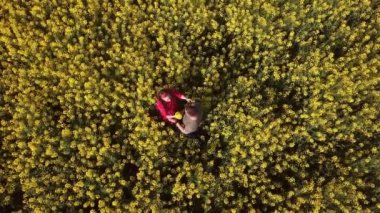 Kanola çiçekli parana tarlası