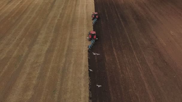 Två traktorer plöja fältet — Stockvideo