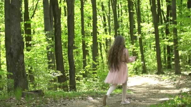 Fille marche dans les bois — Video