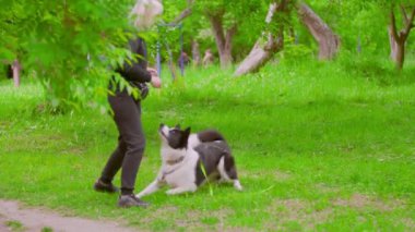 Köpek bakıcısı köpek eğitir.