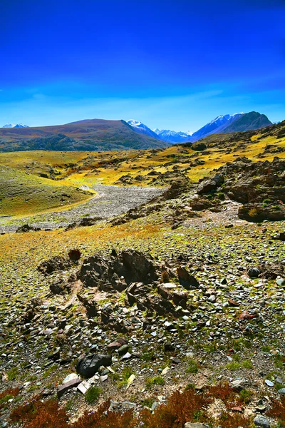 stone mountain desert with rocks and small green and yellow vege