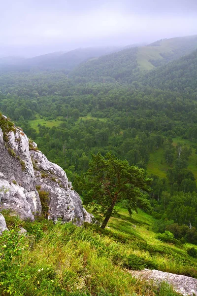 Paisaje de montaña con vegetación floreciente. Rusia . — Foto de Stock