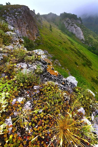 Berglandschaft mit grünen Gipfeln Regen und düsterem Himmel. russi — Stockfoto