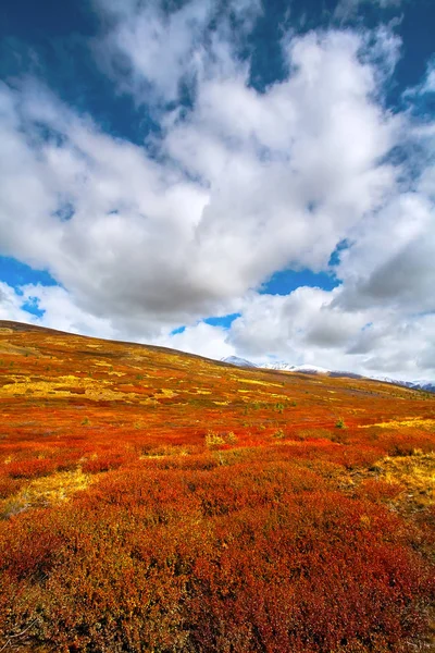 Autumn in the mountains with Cumulus clouds. — Stock Photo, Image