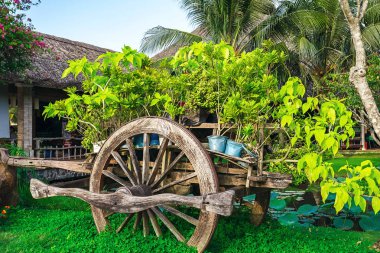 Sepeti, Dekorasyon, Bahçe, Park