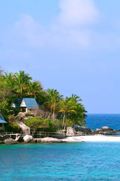 Insel eines Palmenhauses — Stockfoto