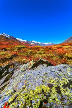 Dağ Vadisi Dağları arasında. Sonbahar