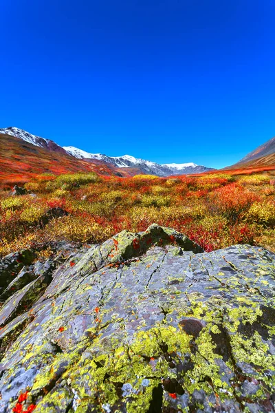 Údolí mezi horami. podzim — Stock fotografie