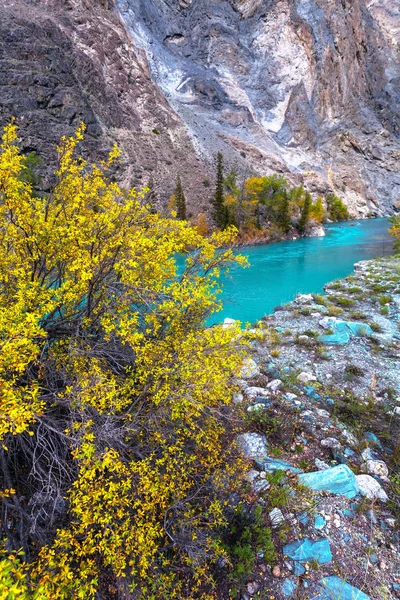 Türkisfarbener Fluss, gelber Baum, Berg — Stockfoto