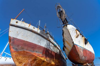 paslı kargo gemileri