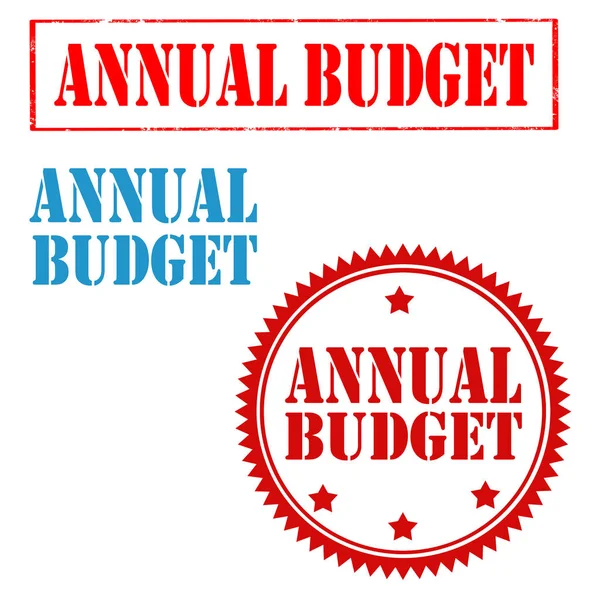 Sello presupuestario anual — Archivo Imágenes Vectoriales