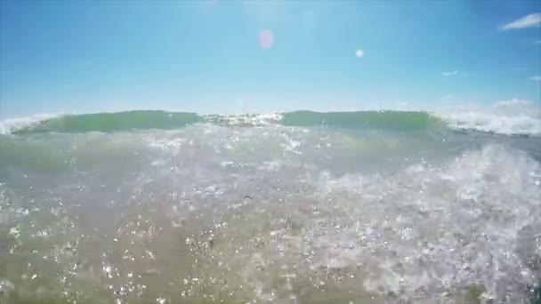 海、波、ビーチ — ストック動画