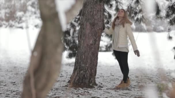 雪に覆われた森の中の少女。寒い冬 — ストック動画