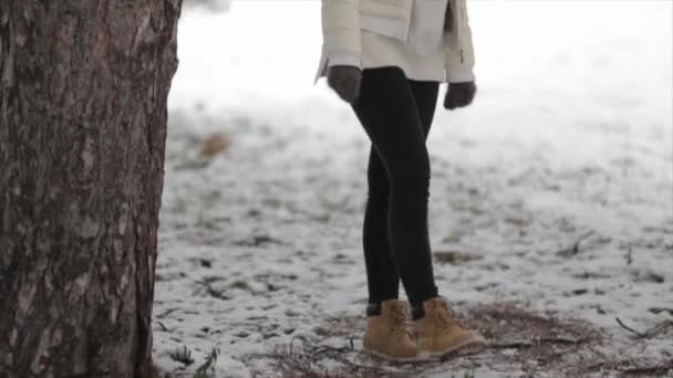 Chica en el bosque nevado. Mucha nieve. — Vídeos de Stock