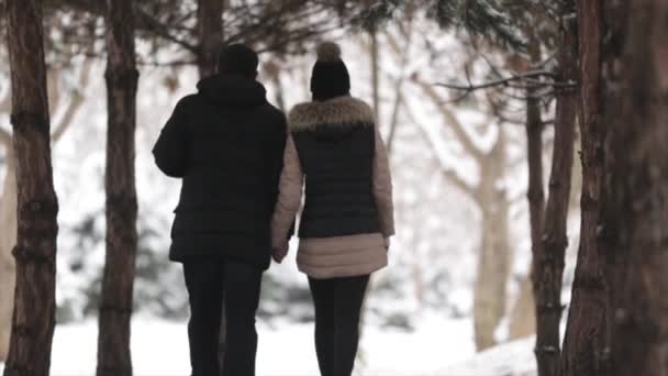 Milující pár v lese — Stock video