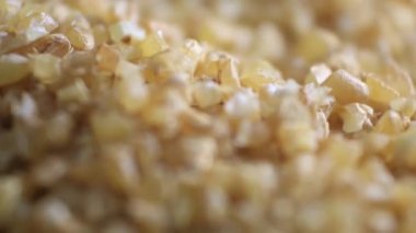 Buğday tanesi. Tarım, parçacık